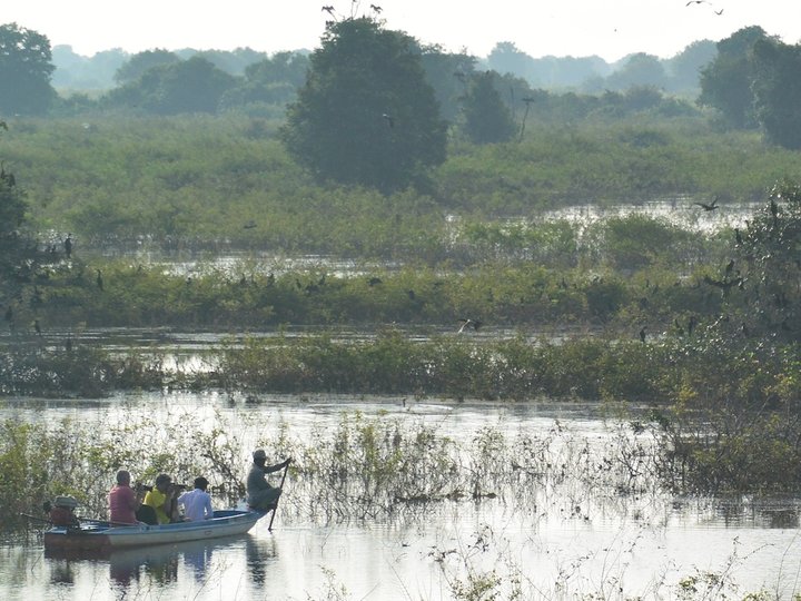 Prek Toal Battambang image Prek Toal Battambang