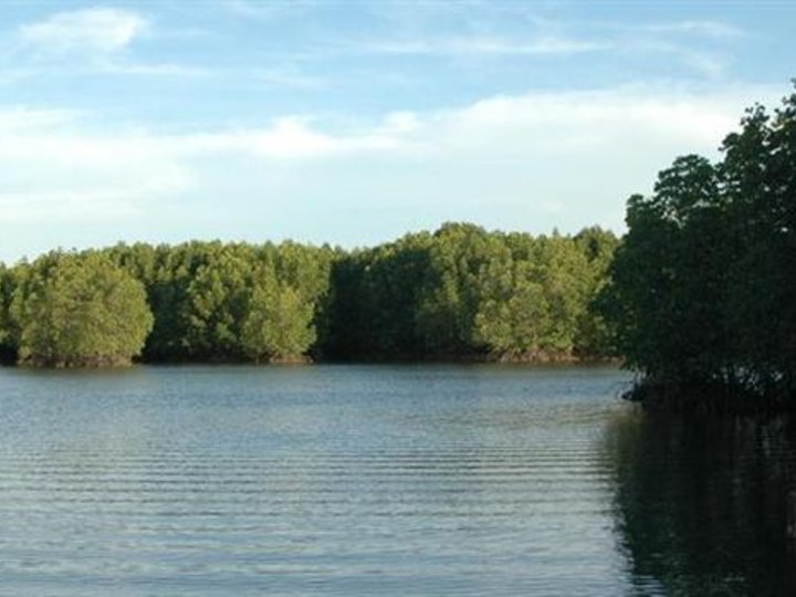 Koh Moul Resort image Koh Moul Resort