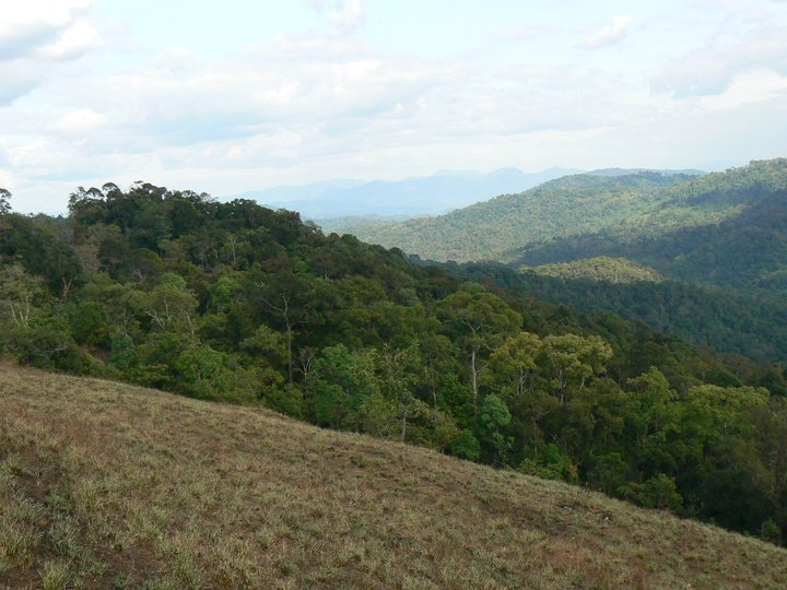 Virachey National Park image Virachey National Park