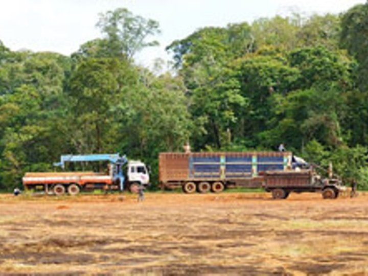 Veal Rum Plan (Stone Field) image Veal Rum Plan (Stone Field)