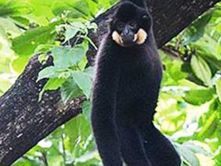 Lumphat Wildlife Sanctuary image Lumphat Wildlife Sanctuary