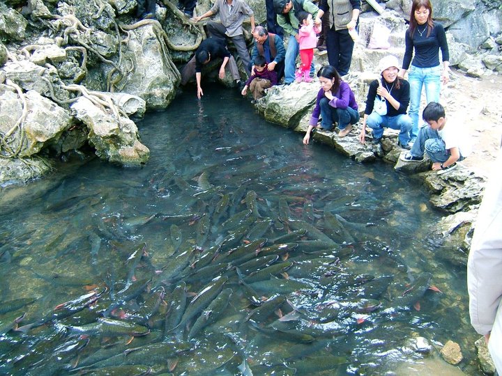 Thanh Hoa