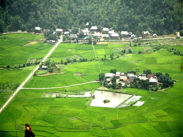 Hoa Binh