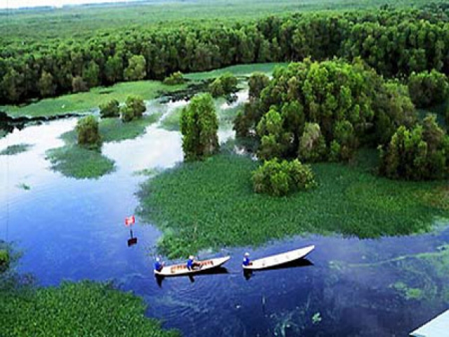 can_gio_mangrove_forest_1_0.jpg