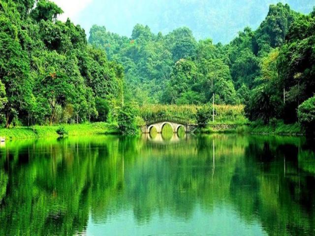 cuc_phuong_national_park_0.jpg