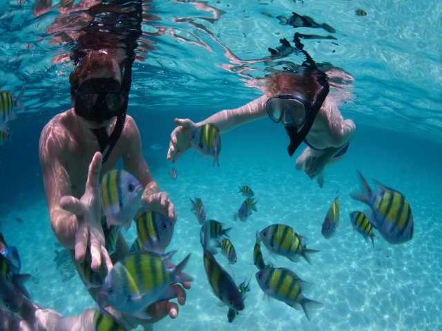 koh_nang_yuan_snorkeling_tour_0.jpg