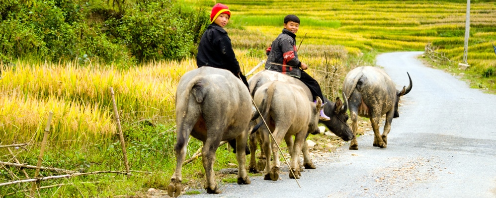 Vietnam Adventure Tours